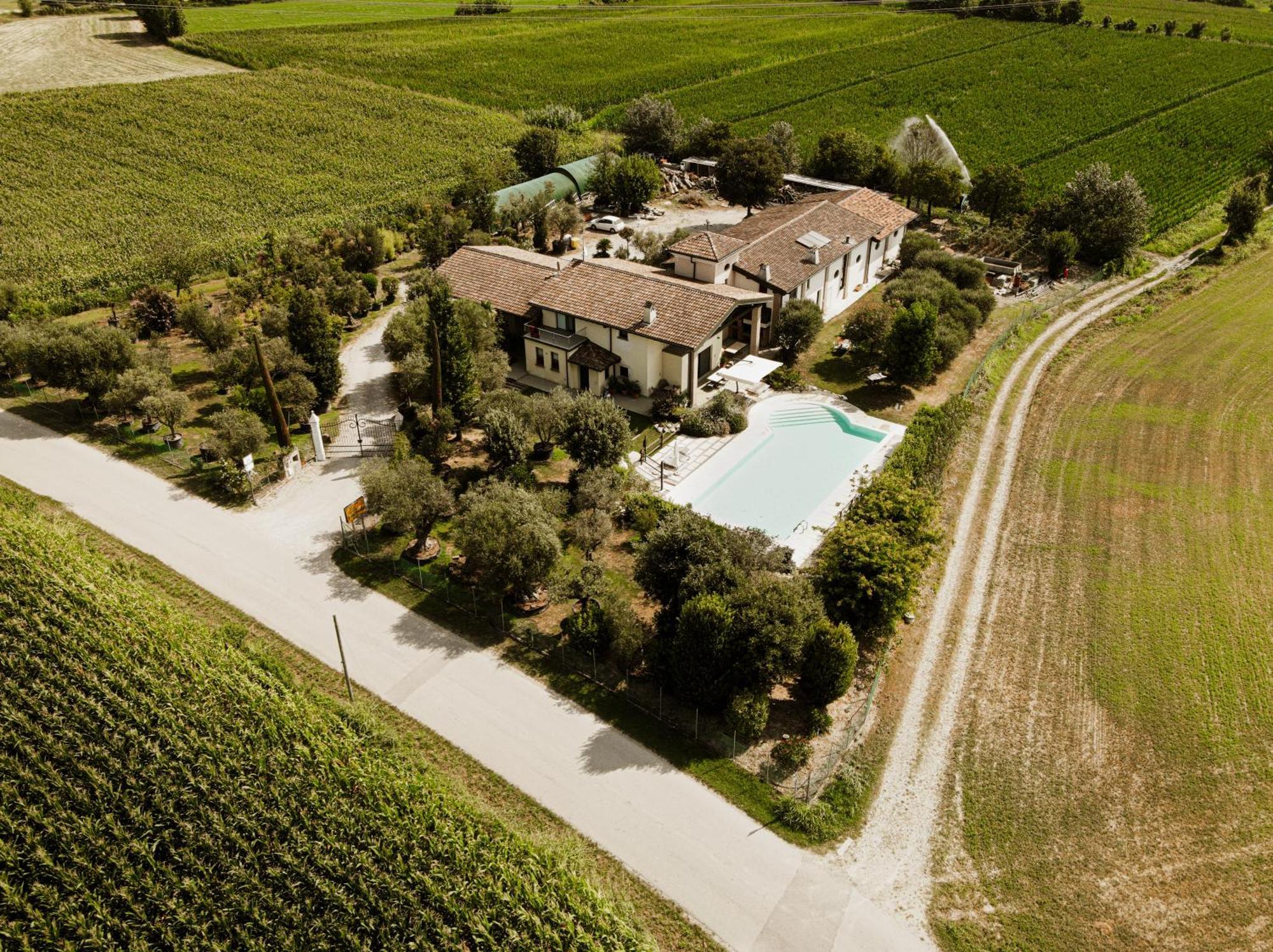 Agriturismo" Il Glicine Bianco" Монцамбано Екстер'єр фото